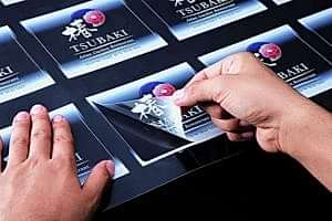 242_original-300x200.jpg 242_original-300x200.jpg