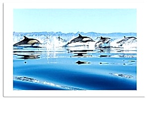 Печать формата А1